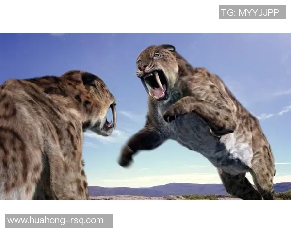 足球场上的猛兽揭秘那些特别凶狠的足球明星与他们的传奇故事